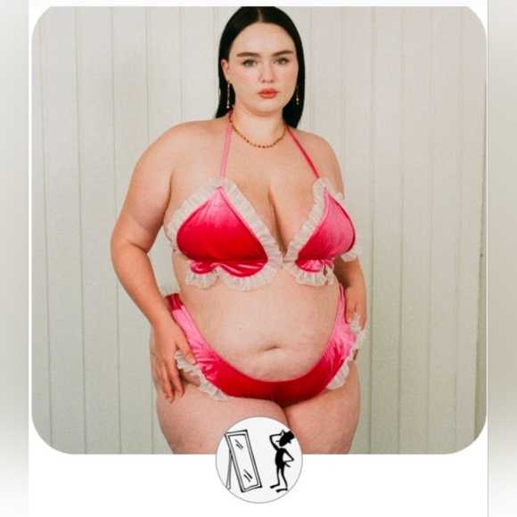 Fashion Brand Company Other - Fashion Brand Company Pink Velvet Bikini Bottoms Size M/L